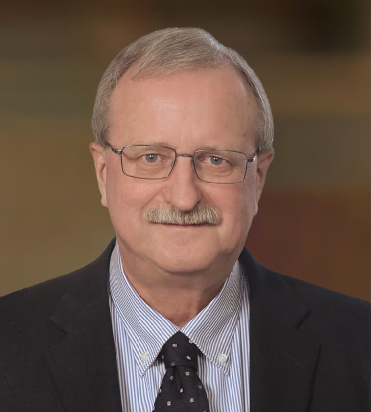 The Honourable David M. Brown - Professional Portrait
